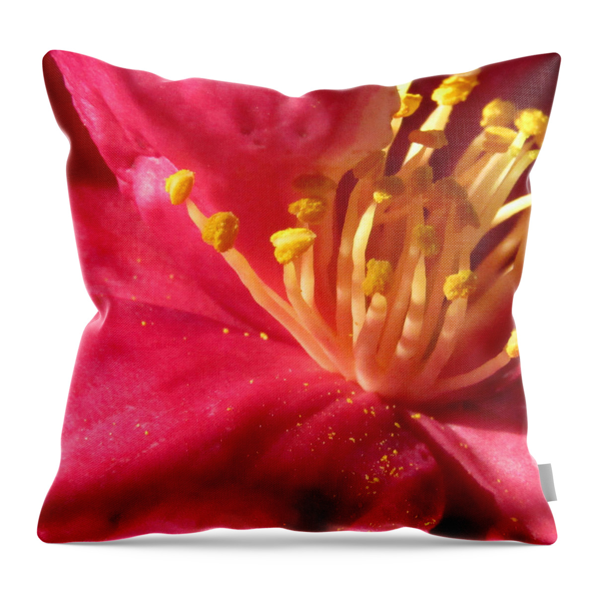 Flower Throw Pillow featuring the photograph Pollen Pregnant by Robert Knight