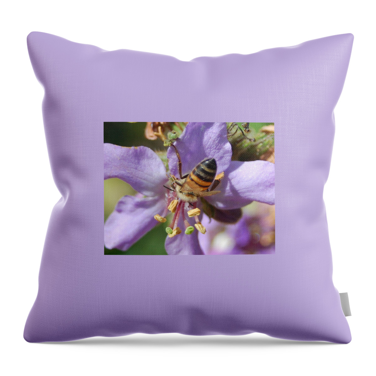 Bees Throw Pillow featuring the photograph Pollinating 4 by Amy Fose
