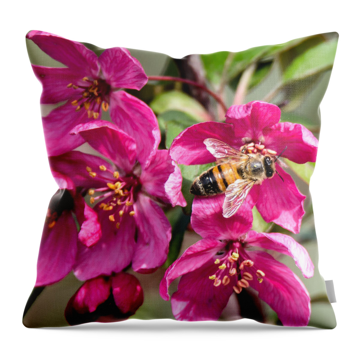 Bee Throw Pillow featuring the photograph Pollination by Steve Marler