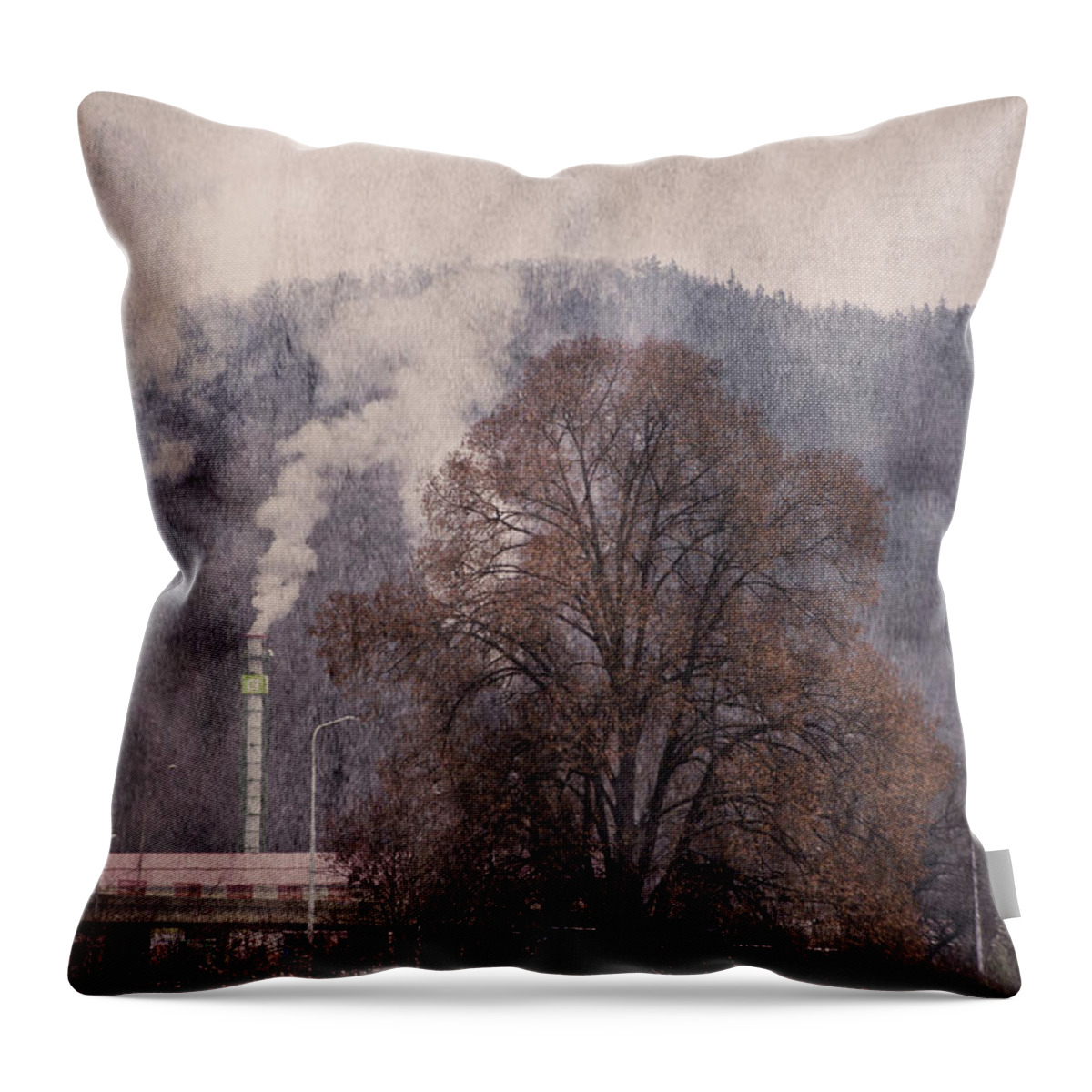 Pollution Throw Pillow featuring the photograph Pollution v2 by Alex Art