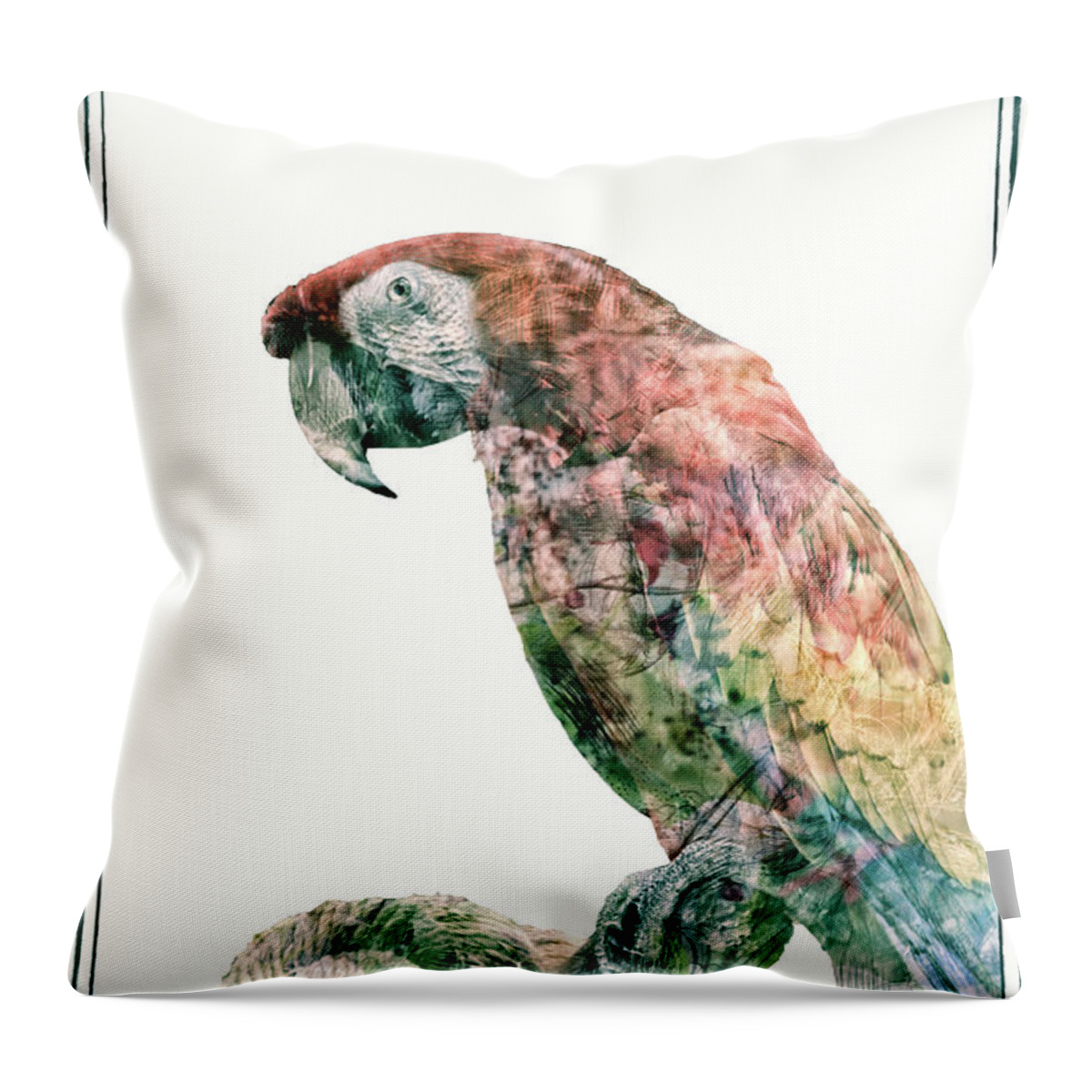Macaw Throw Pillow featuring the mixed media Polly Got a Cracker by Pamela Williams