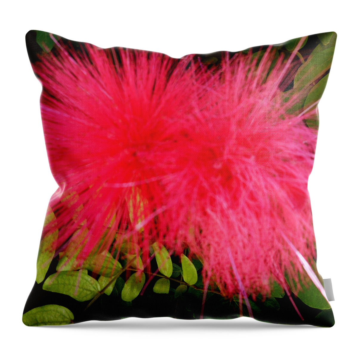 Flowers Throw Pillow featuring the photograph Pom Poms 1 by Ron Kandt