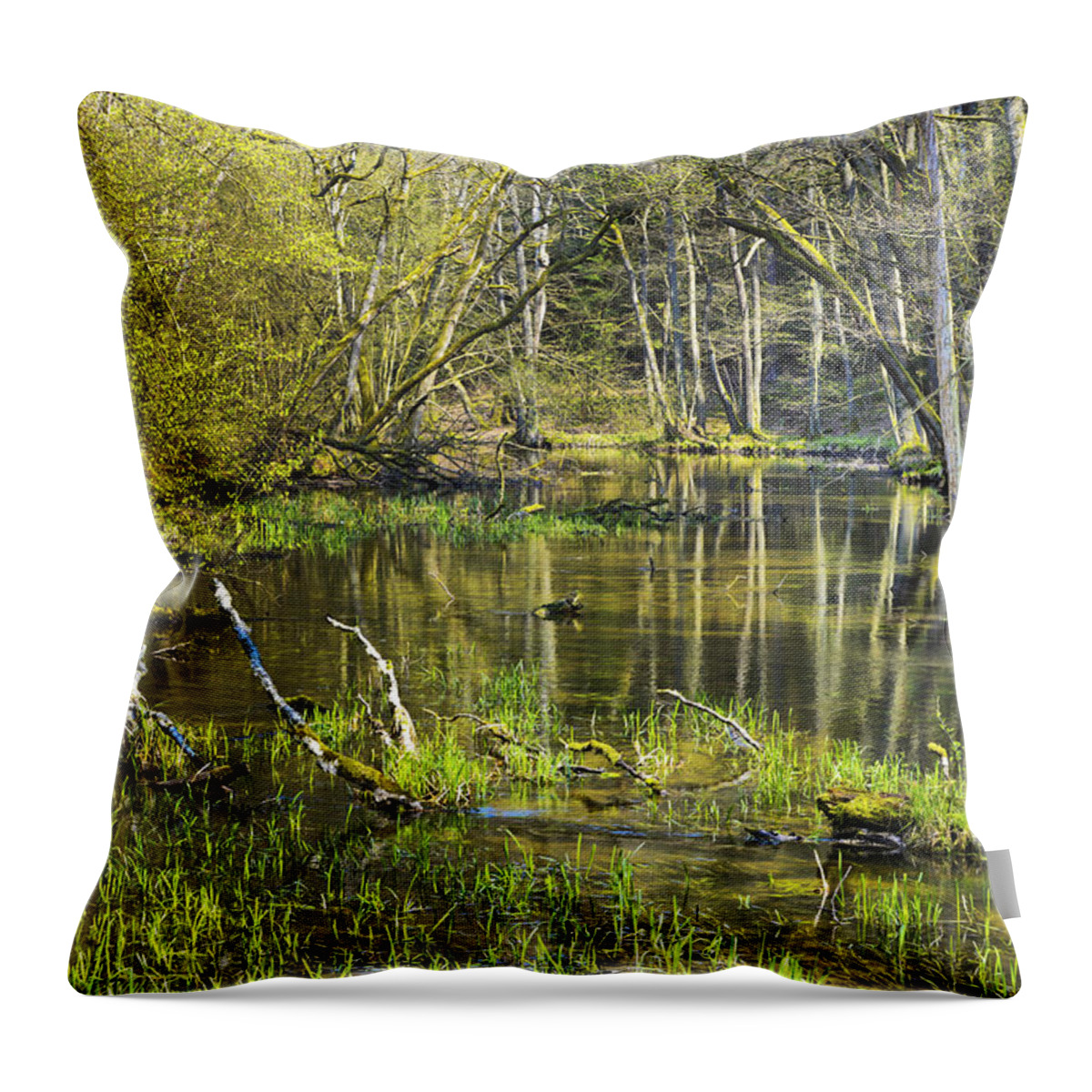 Pond Throw Pillow featuring the photograph Pond in the undergrowth. by Adriano Bussi