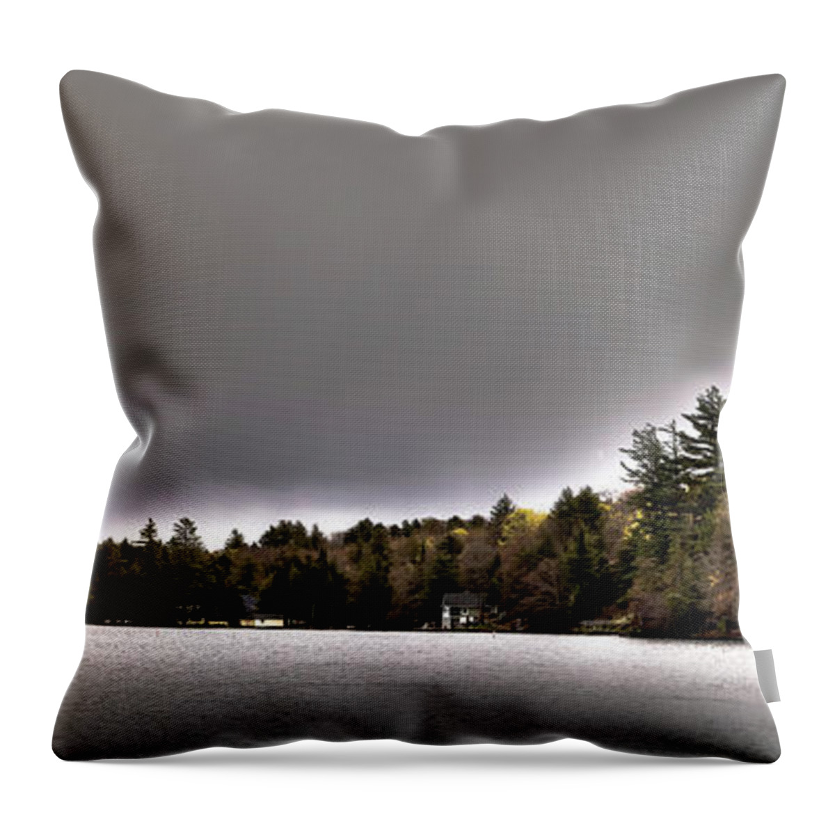 Pond Panorama Throw Pillow featuring the photograph Pond Panorama by David Patterson