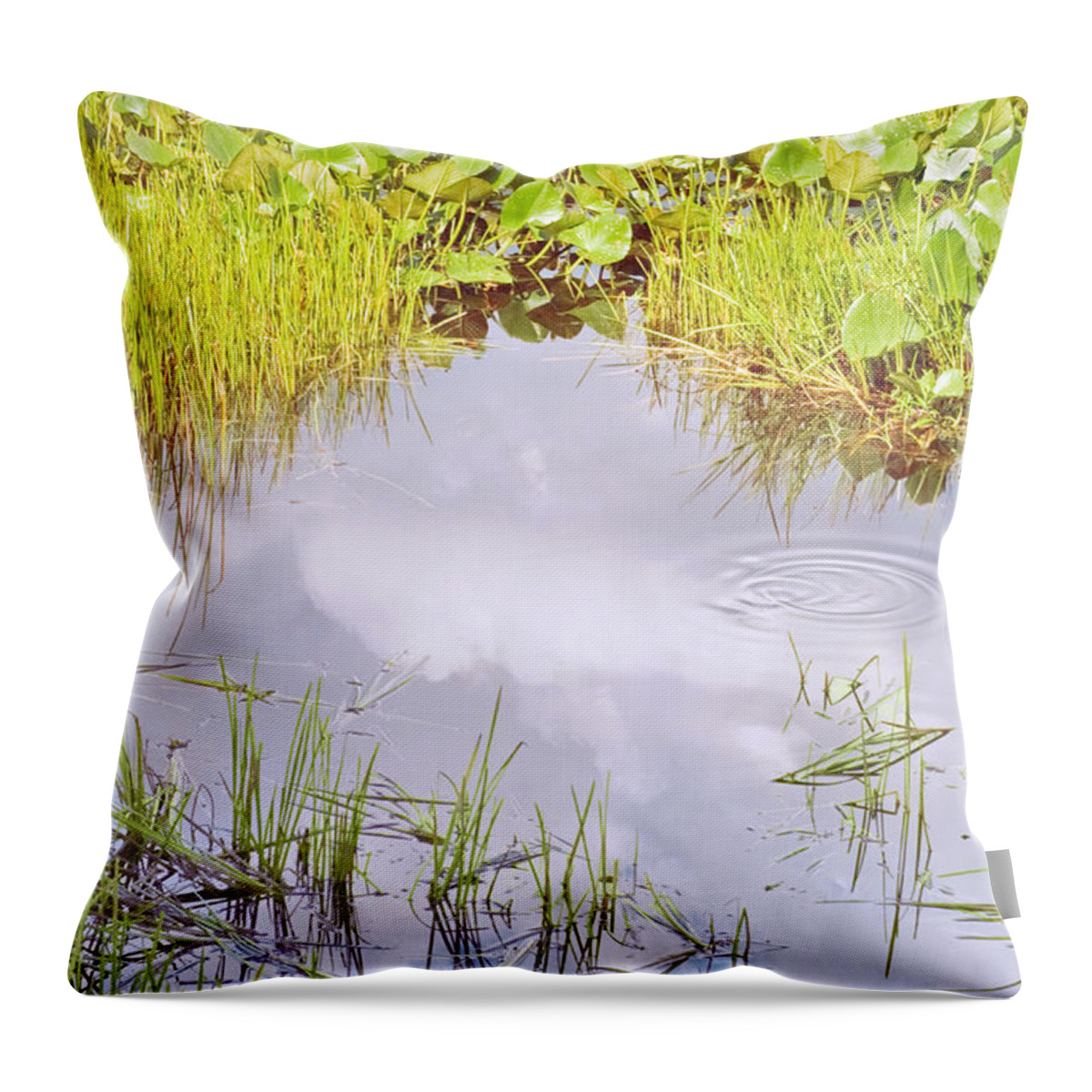 Lilypad Throw Pillow featuring the photograph Pond Ripples Photo by Peter J Sucy