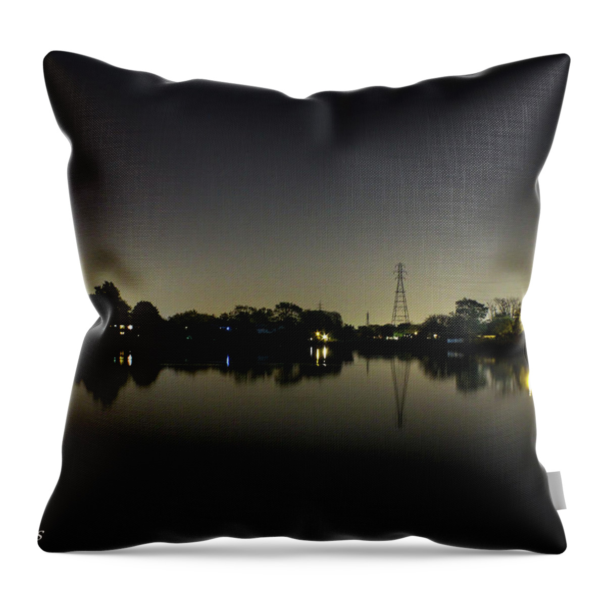 Pond Throw Pillow featuring the photograph Pond Side Tower by Peter J DeJesus