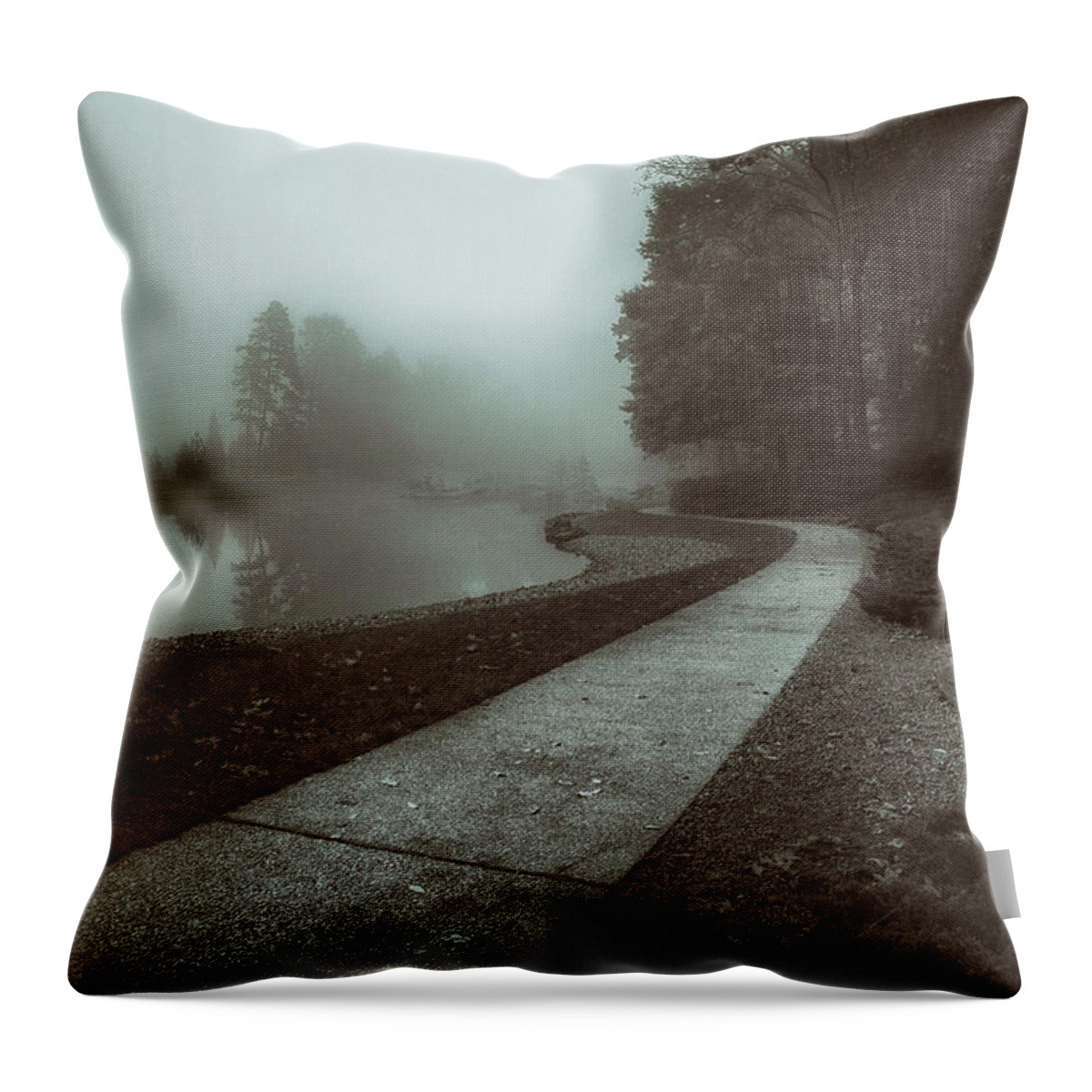 Pond Throw Pillow featuring the photograph Pond Walk in Black and White by Tom Mc Nemar