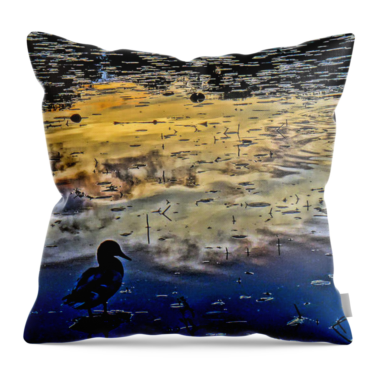 'ducks Throw Pillow featuring the photograph Pondscape by Jeffrey Friedkin