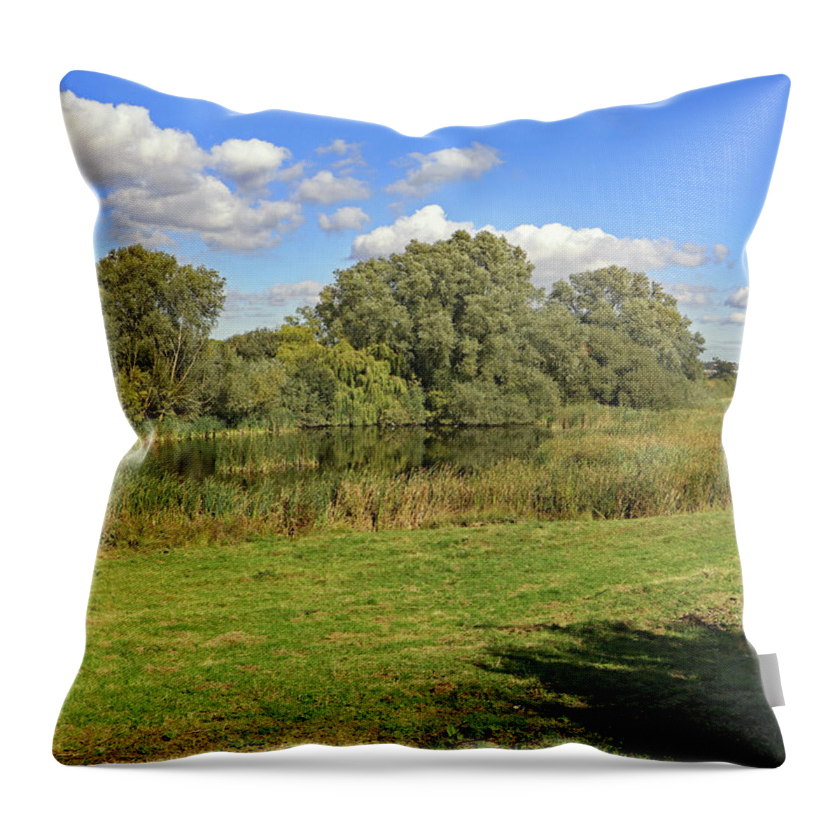 Pool Throw Pillow featuring the photograph Pool Cudmore Grove by Tony Murtagh