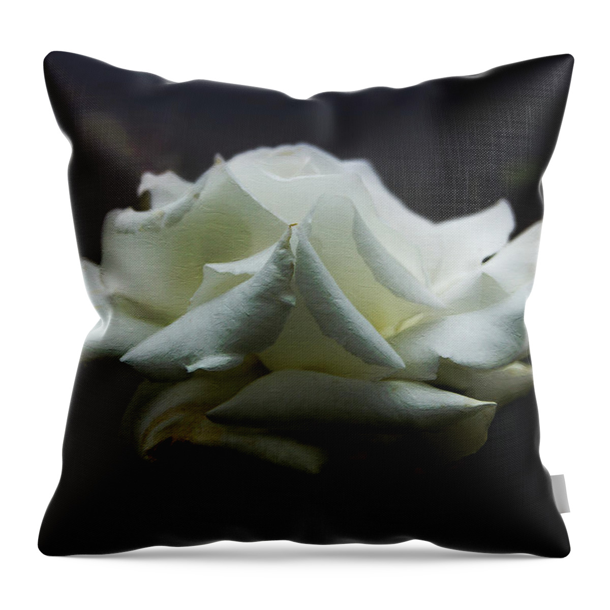 Rose Throw Pillow featuring the painting Pope John Paul II by DonaRose