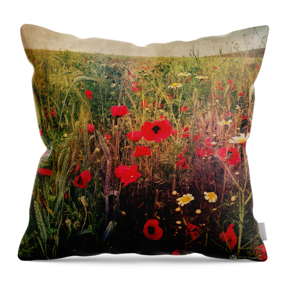 Poppies Throw Pillow featuring the photograph Poppies Fiel by Miguel Angel