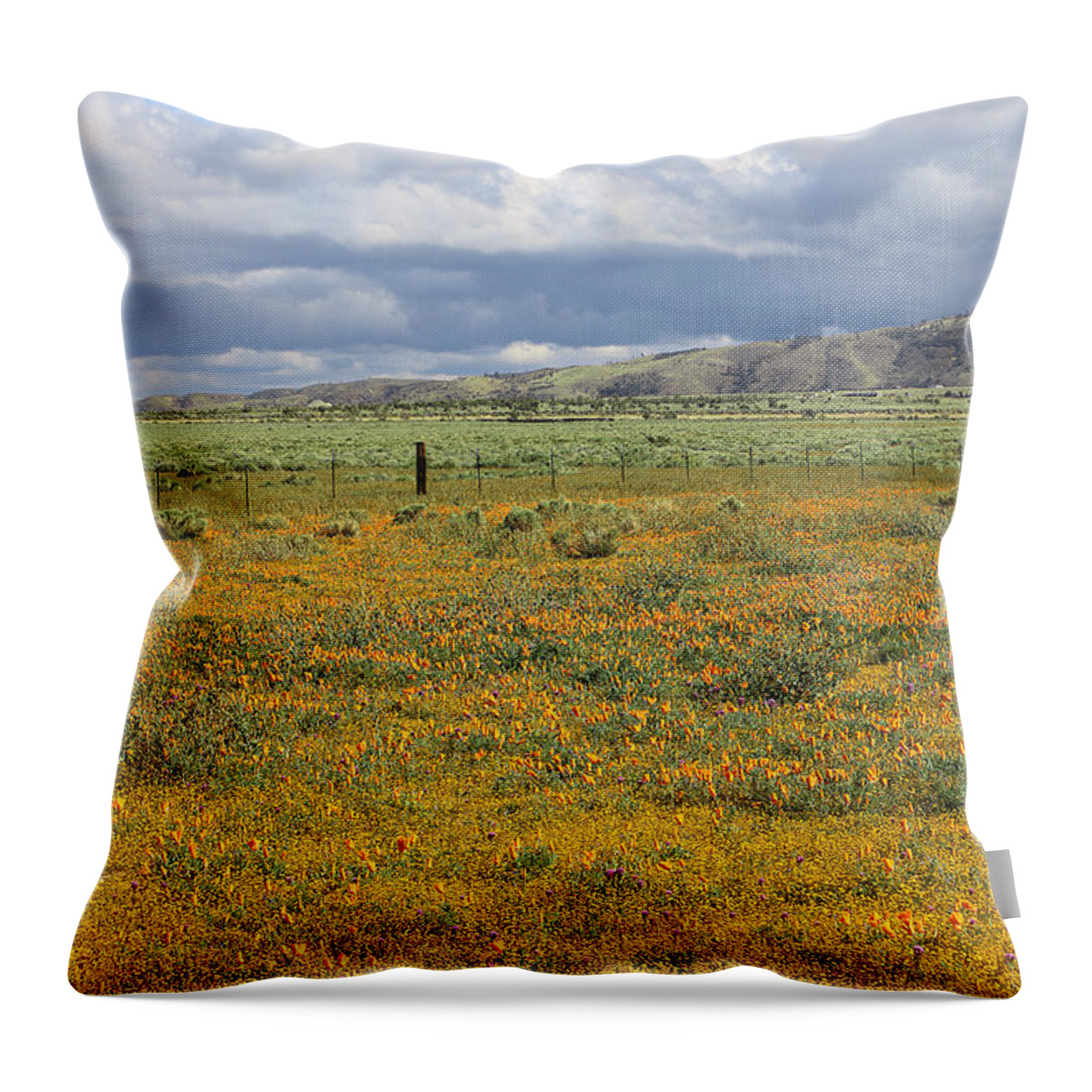 Poppies Field In Antelope Valley Throw Pillow featuring the photograph Poppies Field In Antelope Valley by Viktor Savchenko
