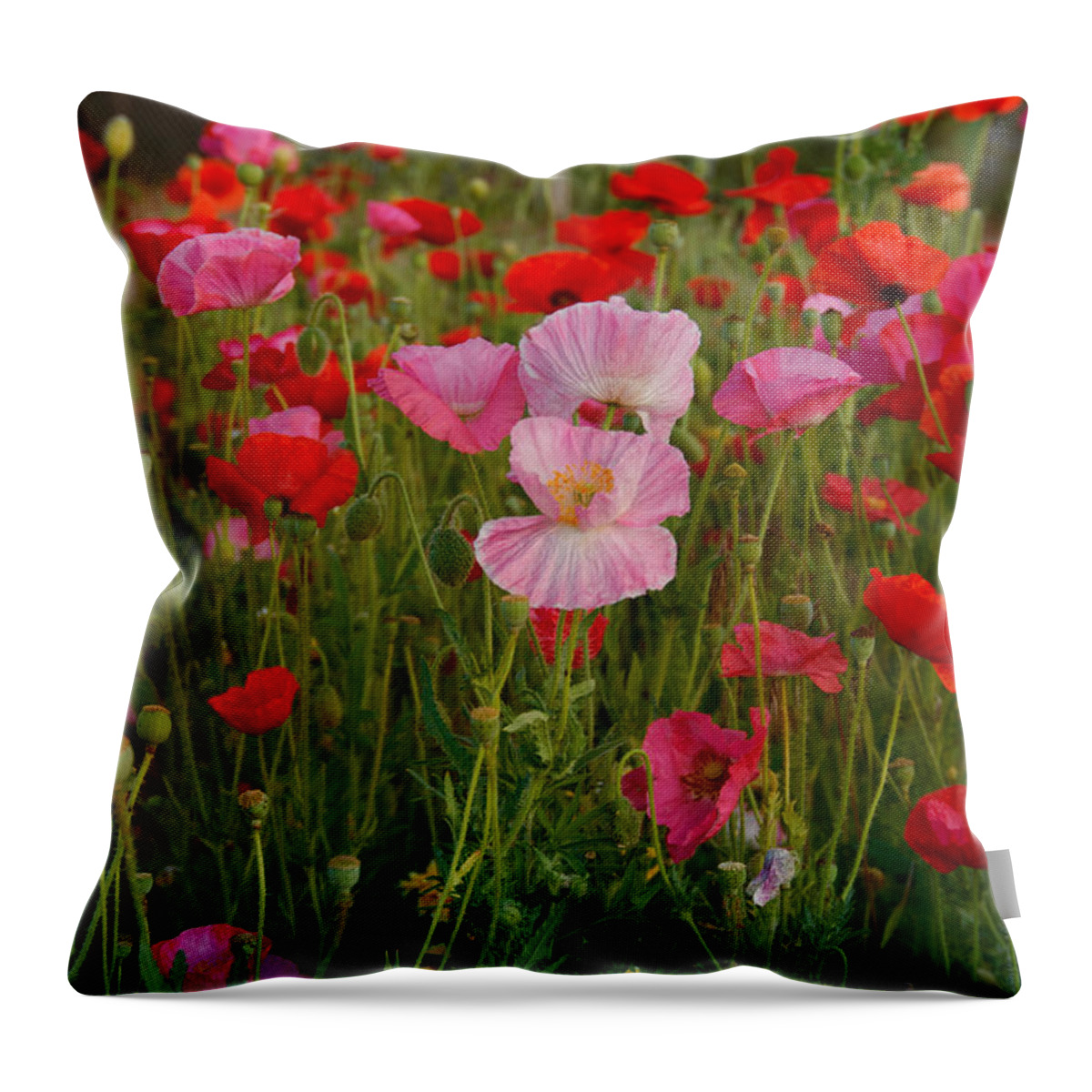 Poppies Throw Pillow featuring the photograph Poppies galore by Carolyn D'Alessandro