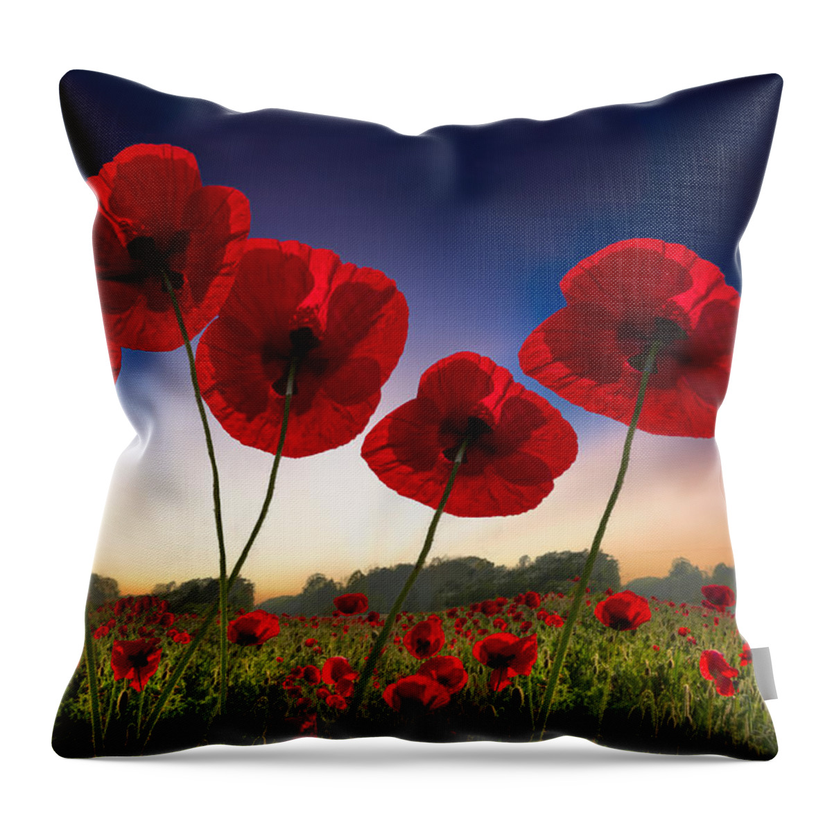 Appalachia Throw Pillow featuring the photograph Poppies on Fire by Debra and Dave Vanderlaan