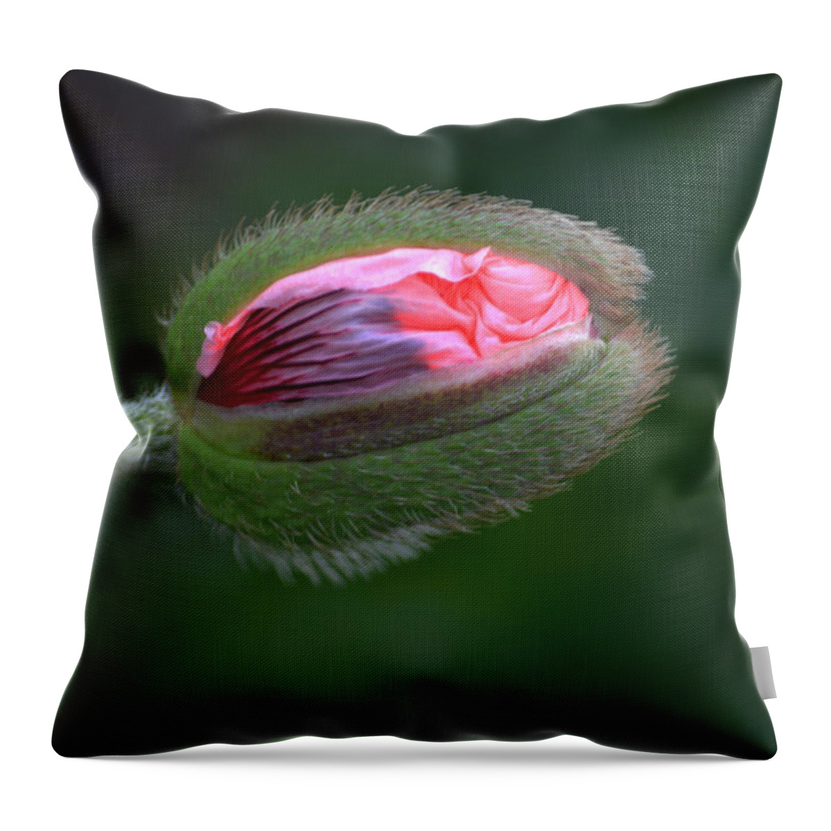 Poppy Throw Pillow featuring the photograph Popping Poppy. by Terence Davis
