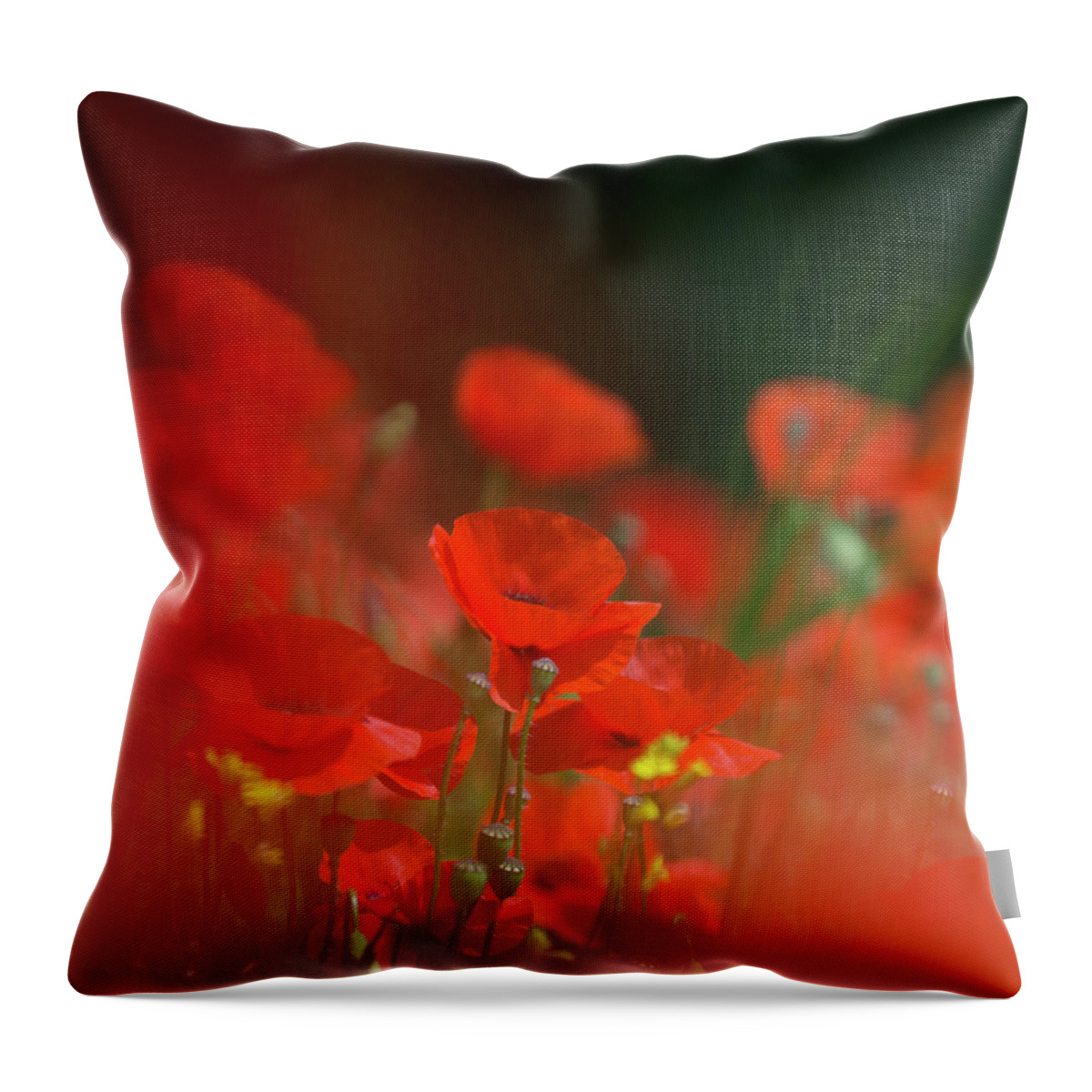 Poppy Throw Pillow featuring the photograph Poppy Amongst Grasses by Pete Walkden