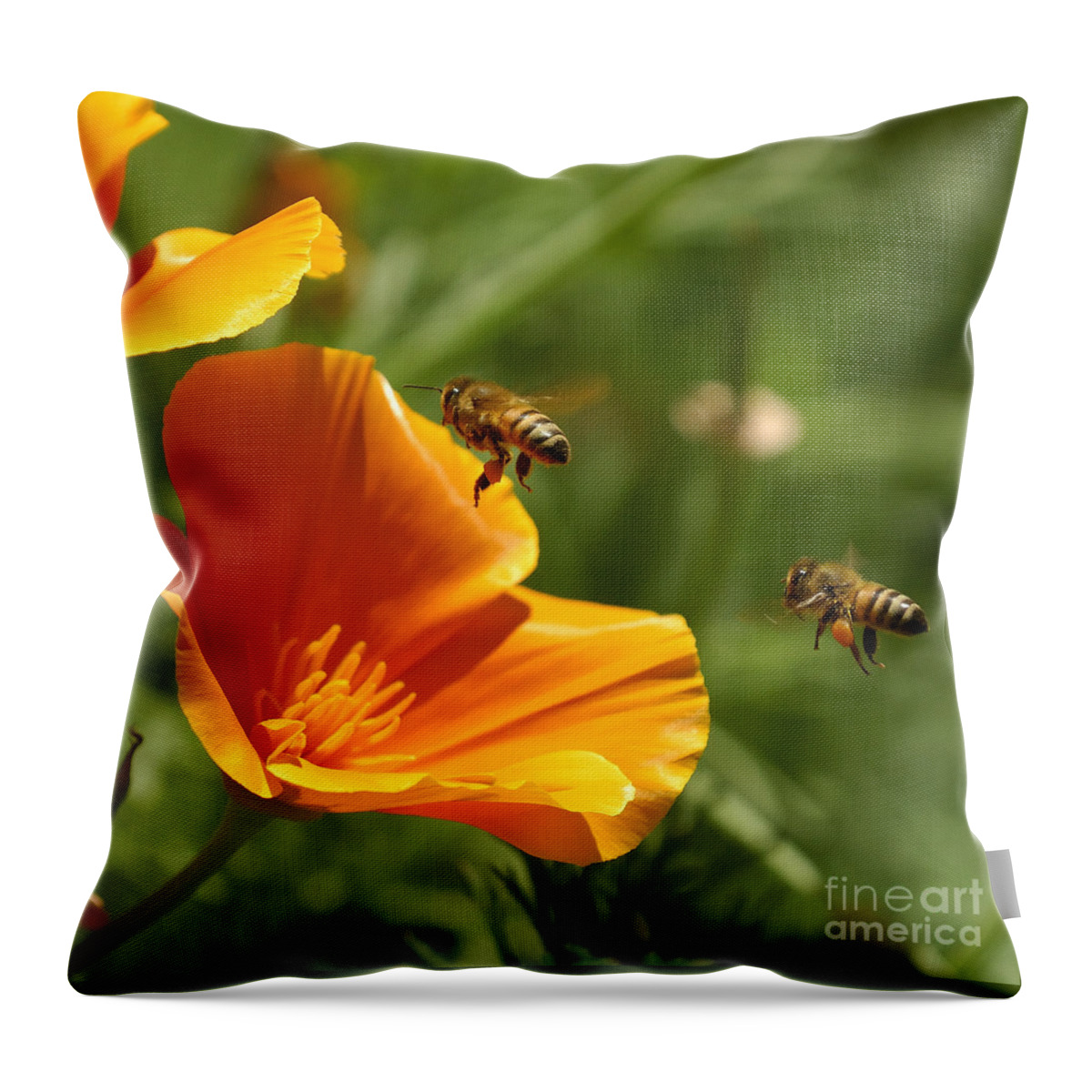 California Poppy And Bees Throw Pillow featuring the photograph Poppy and Bees by Marc Bittan