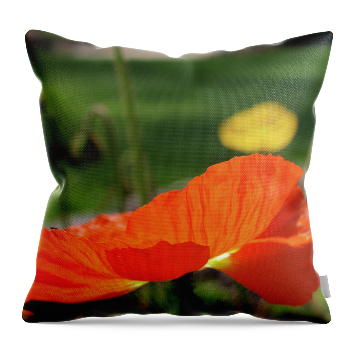 Poppy Throw Pillow featuring the photograph Poppy Cup by Evelyn Tambour