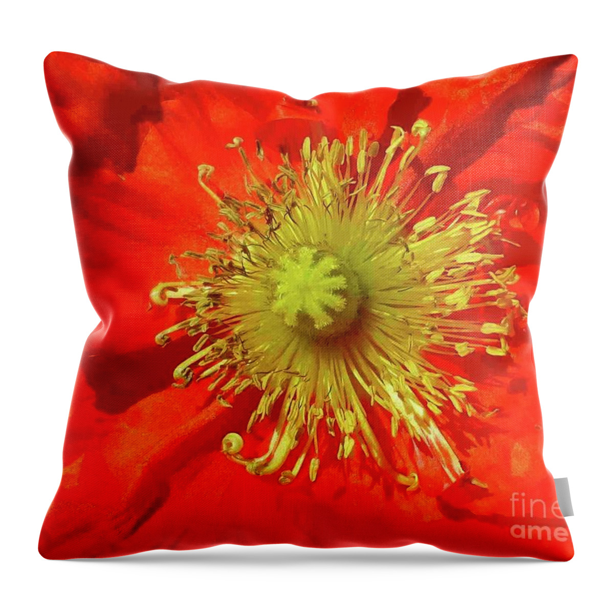 Poppy Throw Pillow featuring the photograph Poppy Glory by Barbie Corbett-Newmin