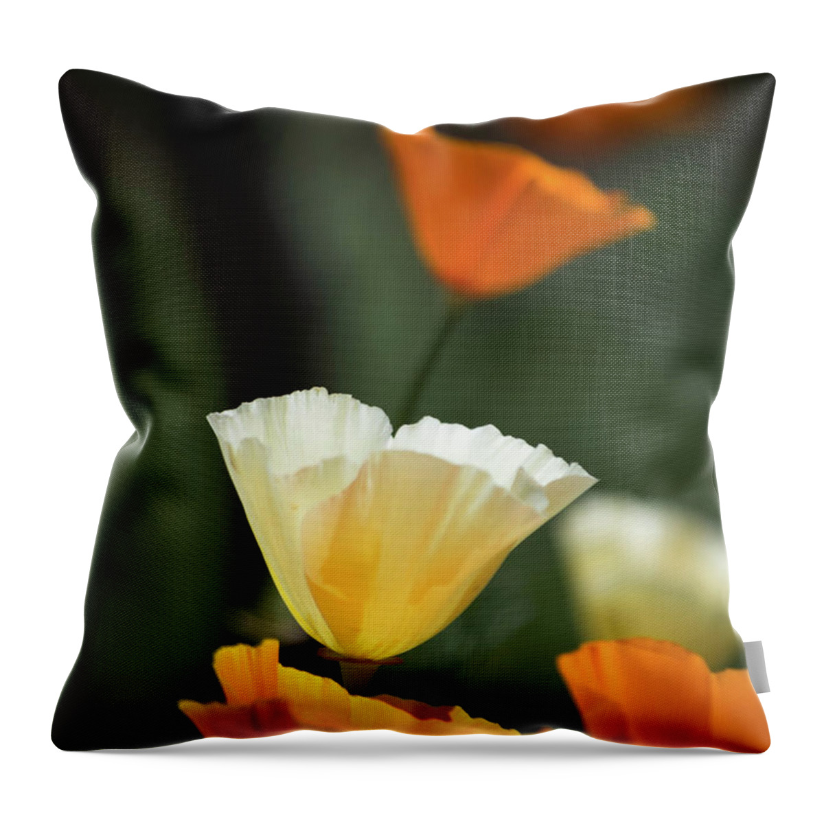 Orange Throw Pillow featuring the photograph Poppy Glow by Steph Gabler