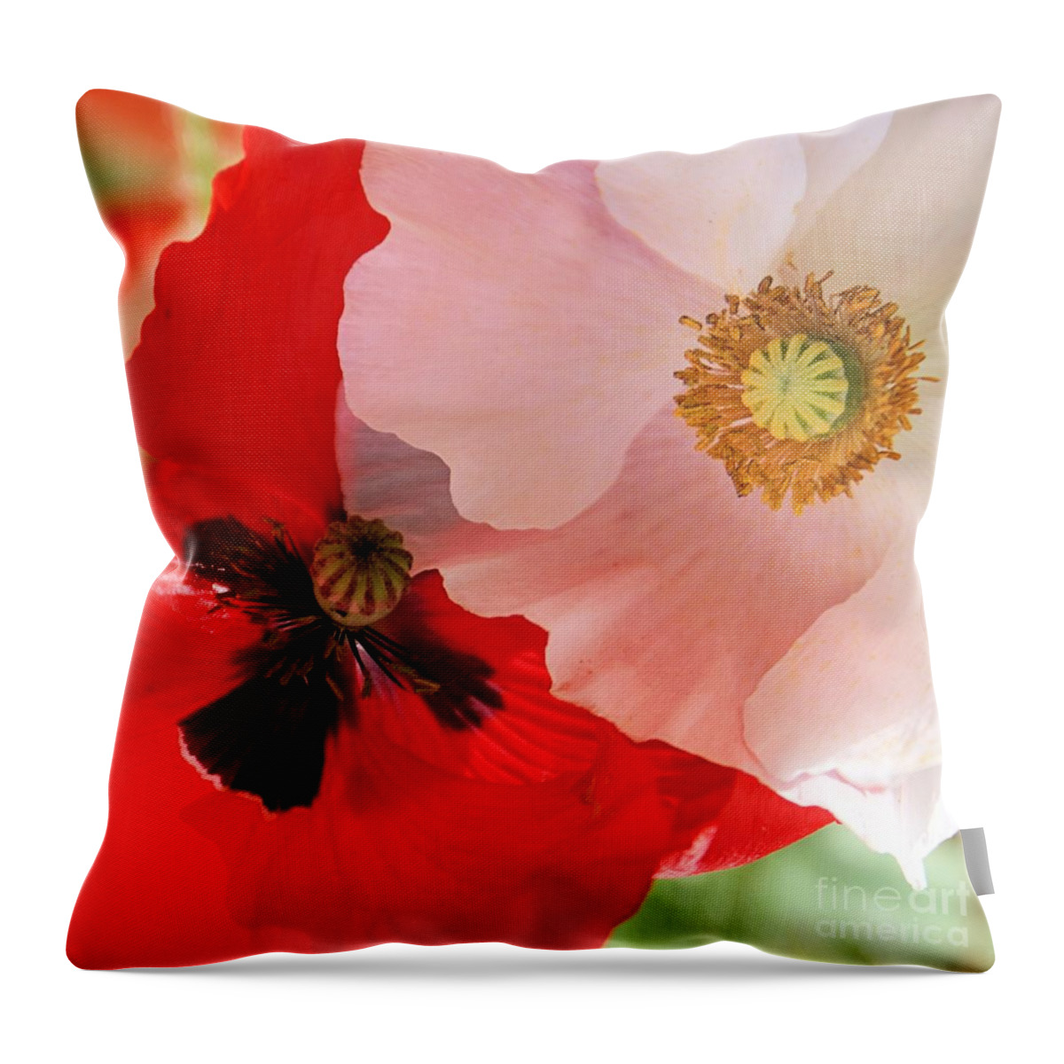 Poppy Throw Pillow featuring the photograph Poppy Pair by Kim Yarbrough