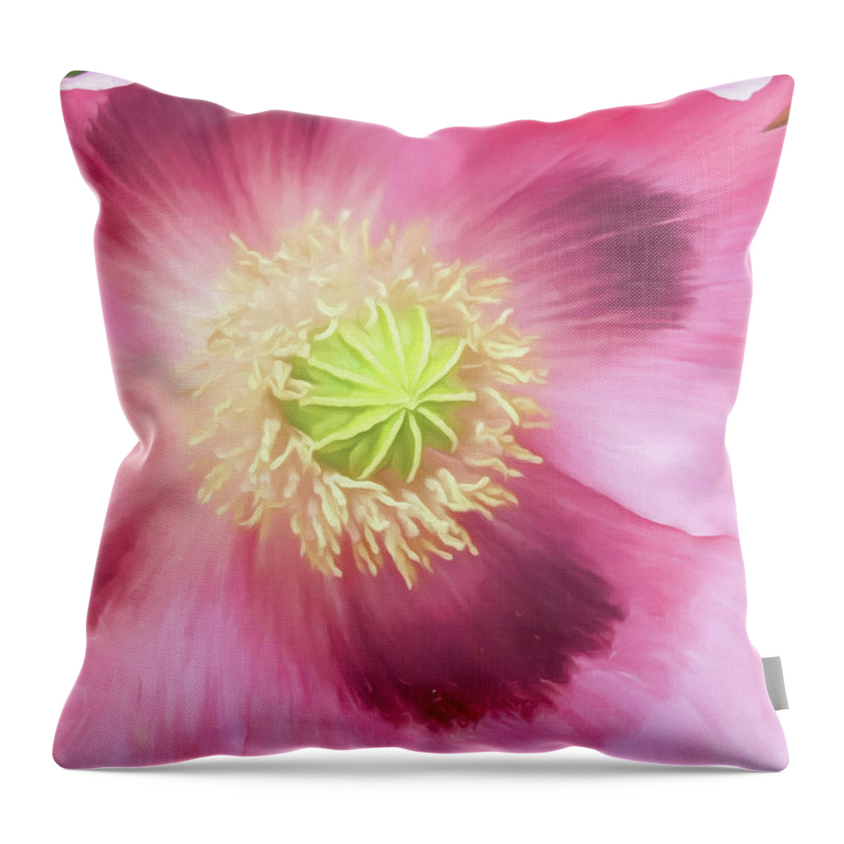 Flower Throw Pillow featuring the photograph Poppy Perfection by Teresa Wilson