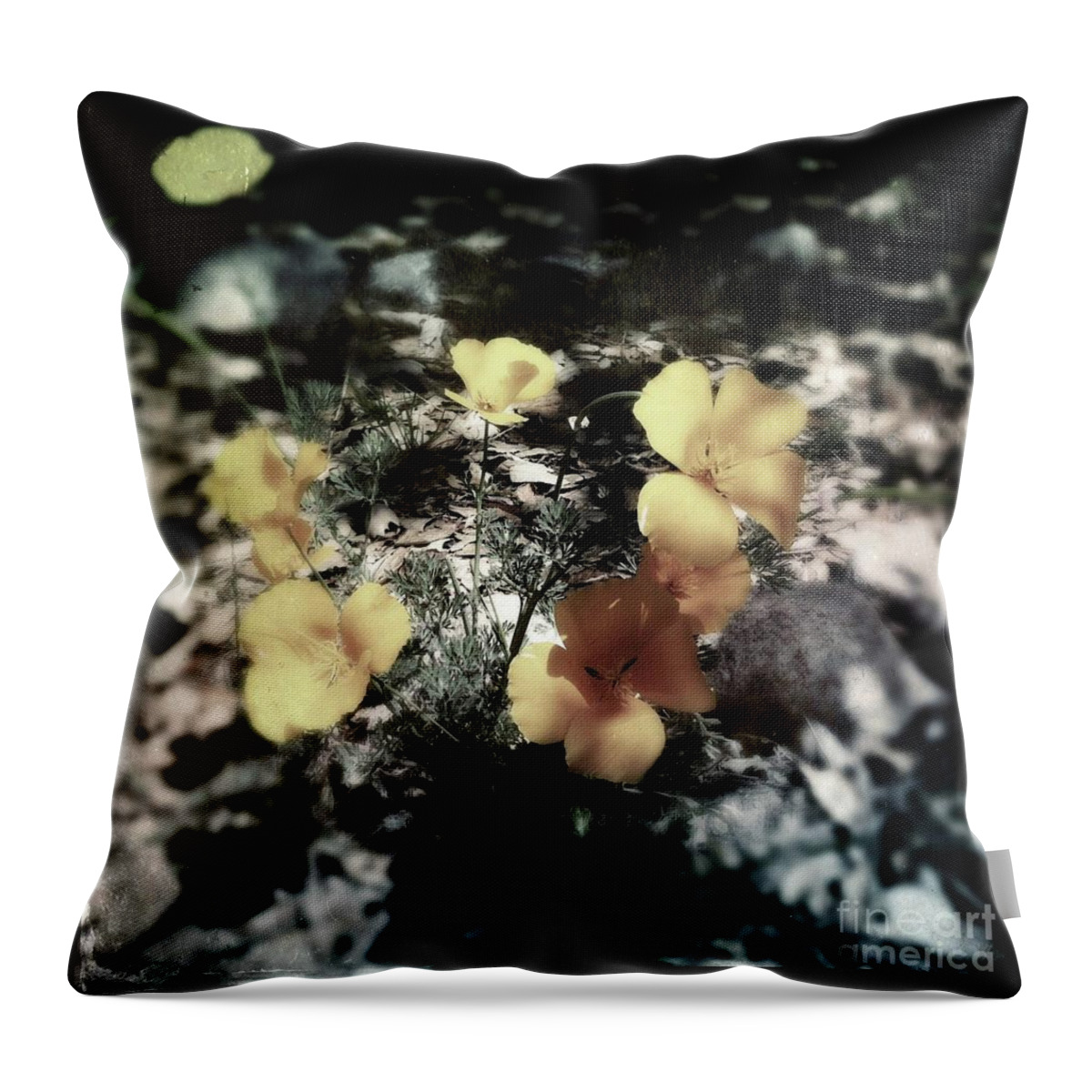 Poppy Throw Pillow featuring the photograph Poppy Shadows by Collective Seventy