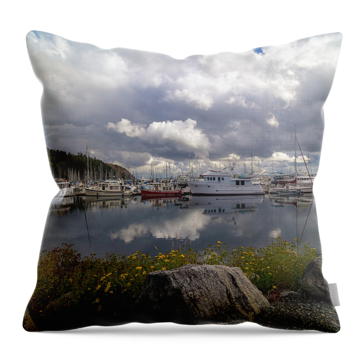 Port Throw Pillow featuring the photograph Port of Anacortes Marina on a Cloudy Day by David Gn