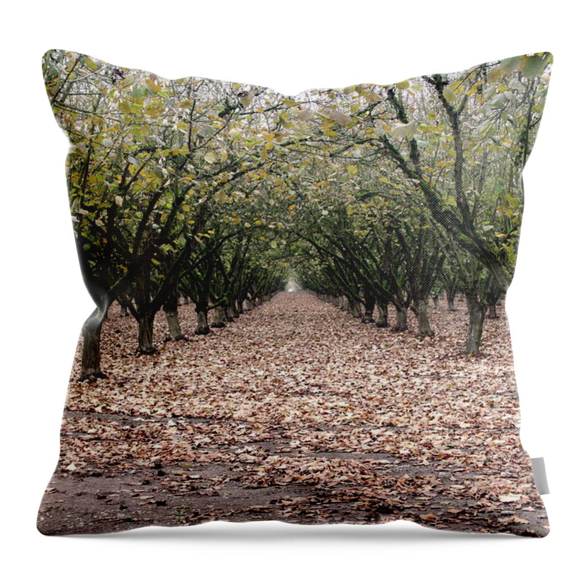 Orchards Throw Pillow featuring the photograph Portal by Claire McGee