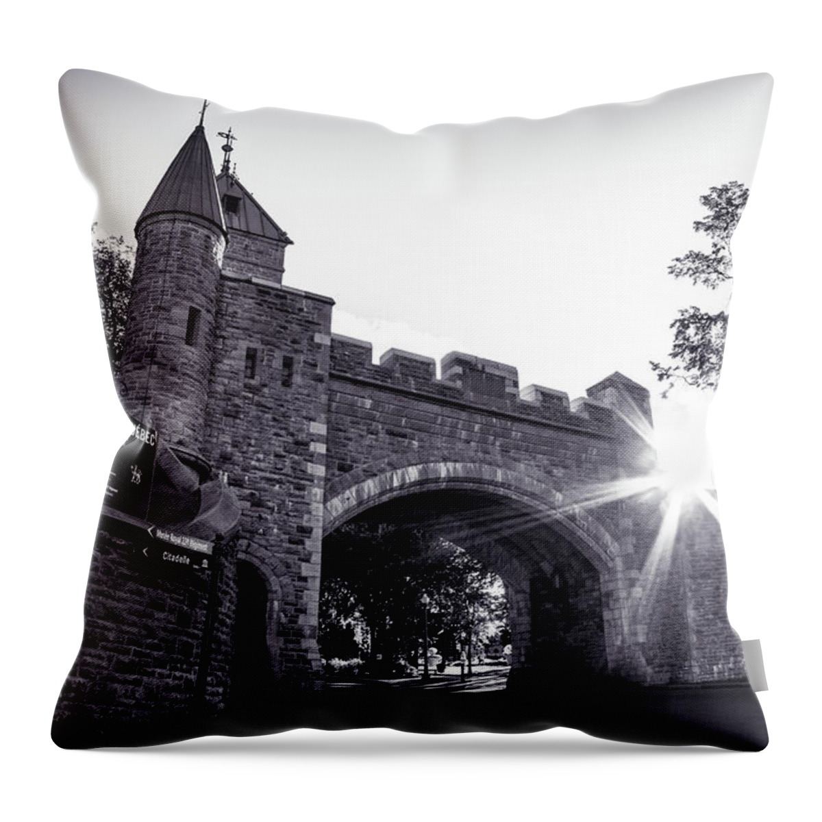 19th Century Throw Pillow featuring the photograph Porte St. Louis by Chris Bordeleau