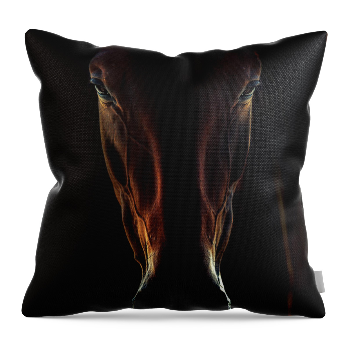 Horse Throw Pillow featuring the photograph Portrait Of A Brown Horse Close Up by Dimitar Hristov