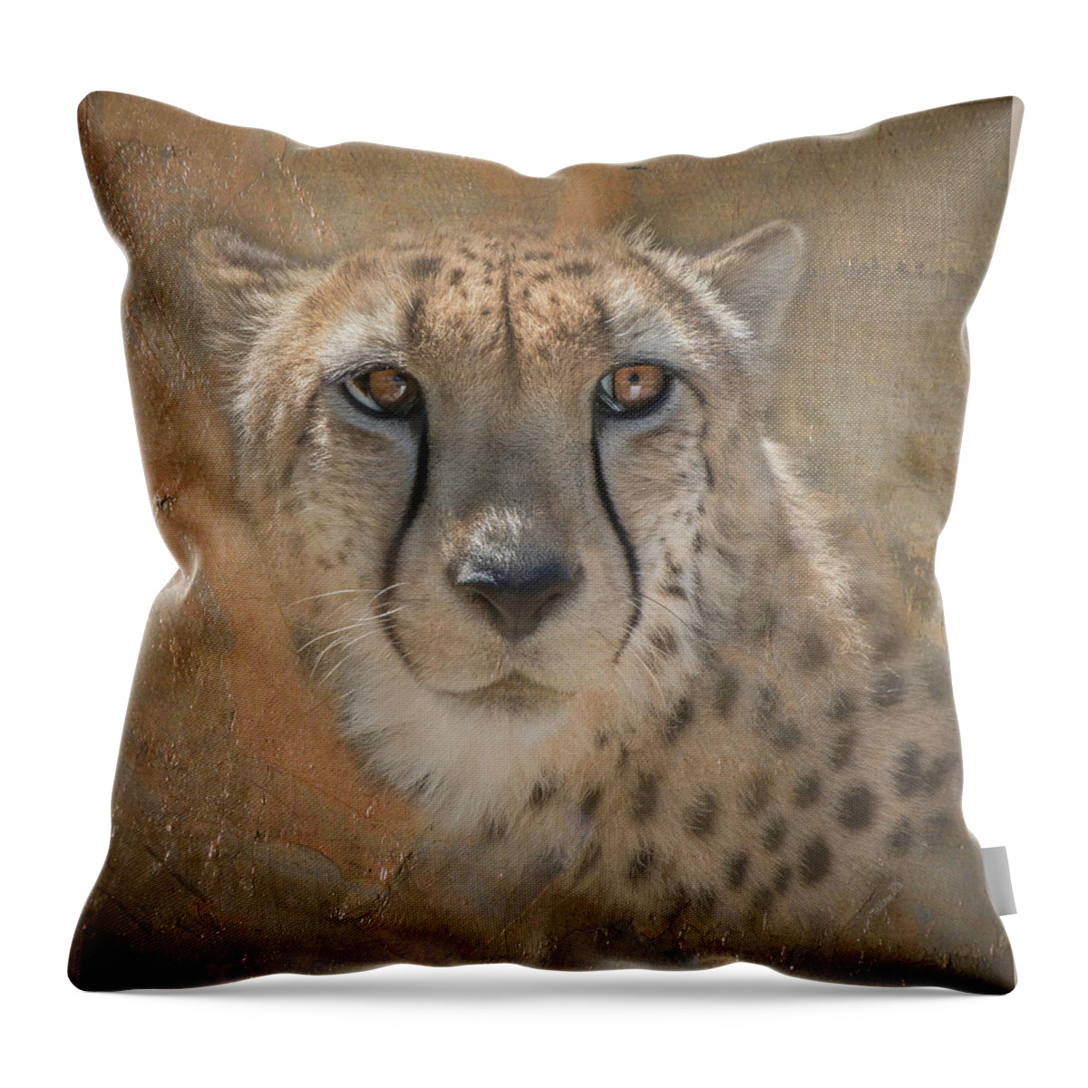 Hunter Throw Pillow featuring the photograph Portrait of a Cheetah by Teresa Wilson