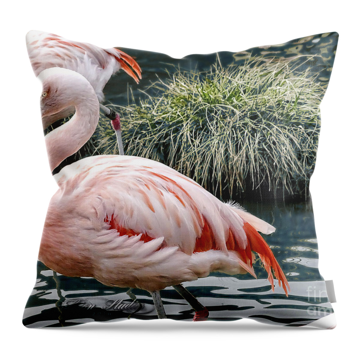 Photoshop Throw Pillow featuring the photograph Portrait Of a Flamingo by Melissa Messick