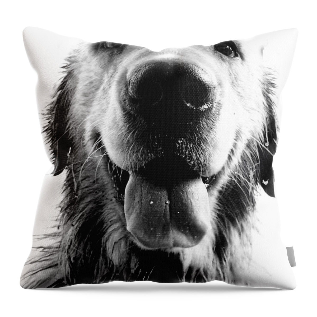 #faatoppicks Throw Pillow featuring the photograph Portrait of a Happy Dog by Osvaldo Hamer