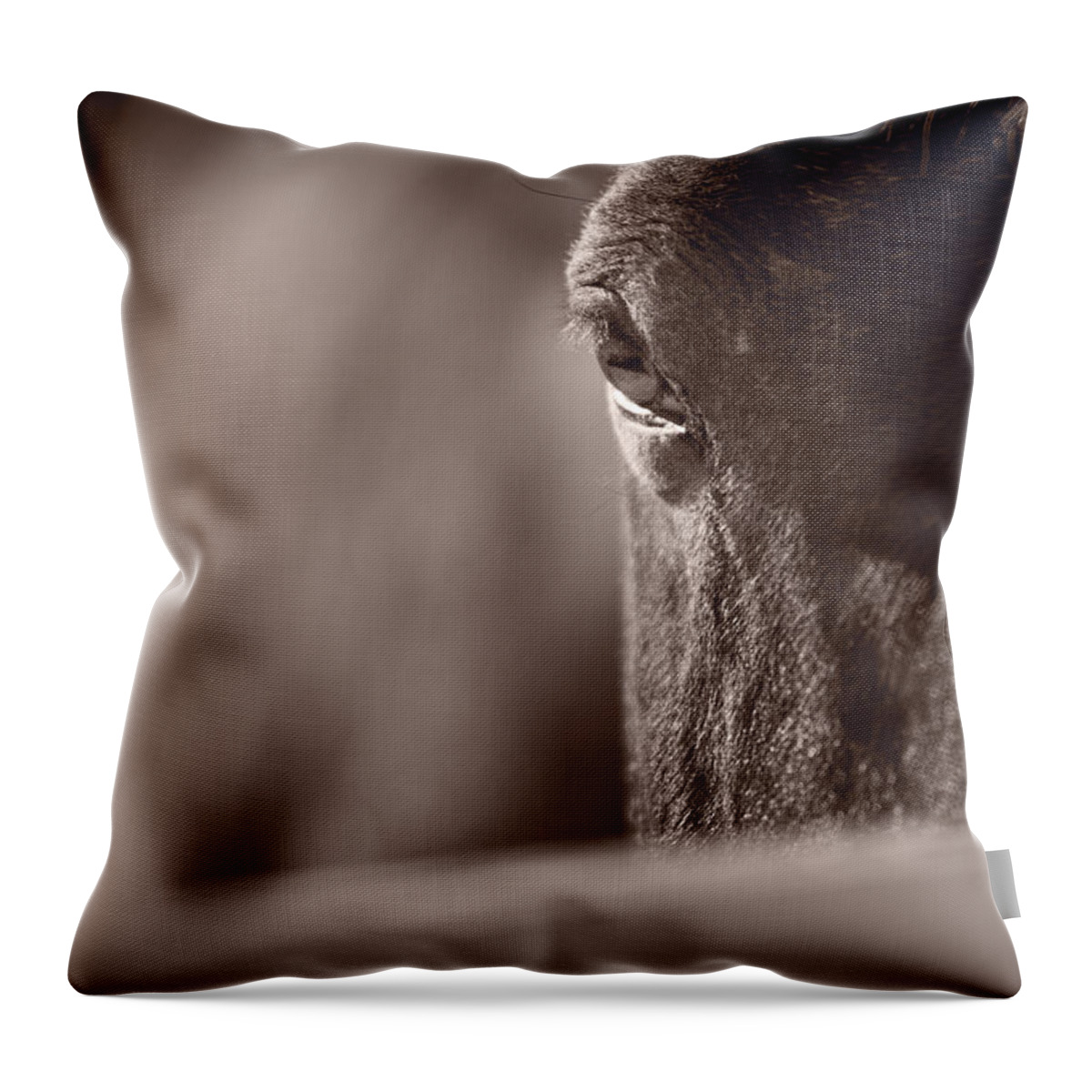 Horse Throw Pillow featuring the photograph Portrait of a Horse Kentucky by Steve Gadomski