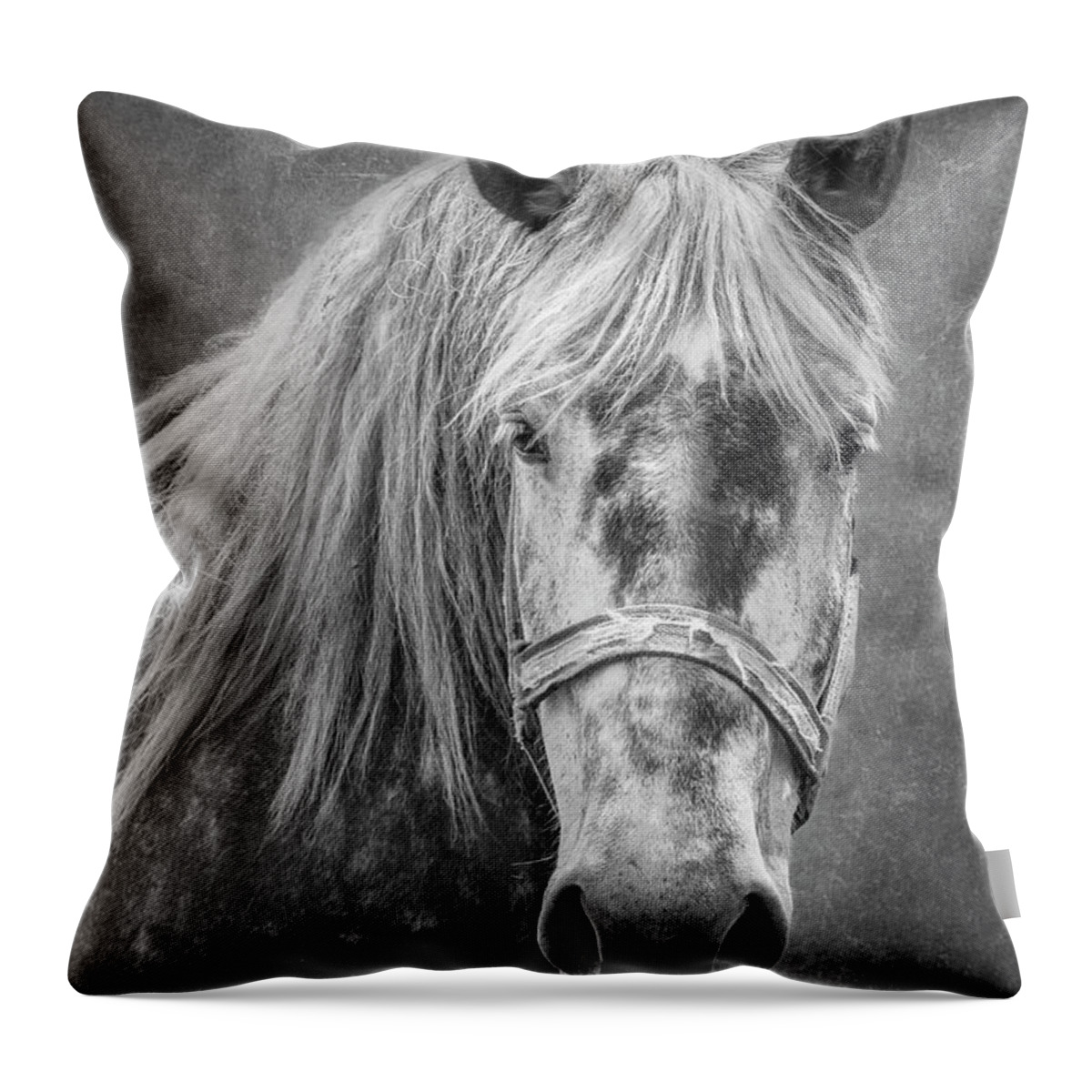 Animal Throw Pillow featuring the photograph Portrait of a Horse by Tom Mc Nemar