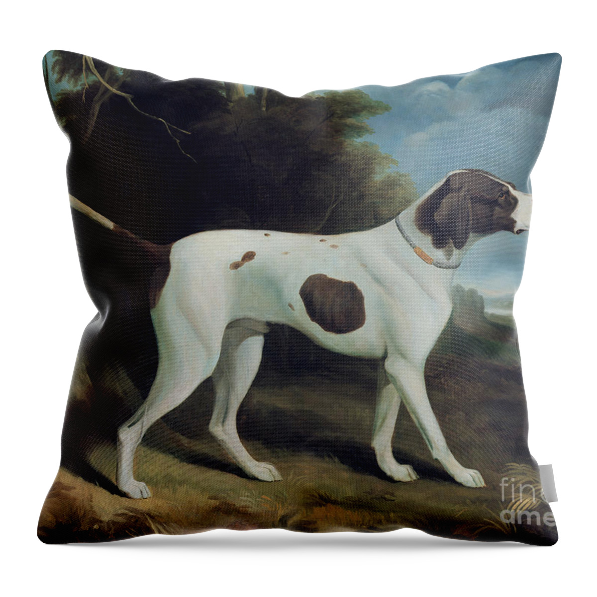 Dog Throw Pillow featuring the painting Portrait of a liver and white pointer by George Garrard