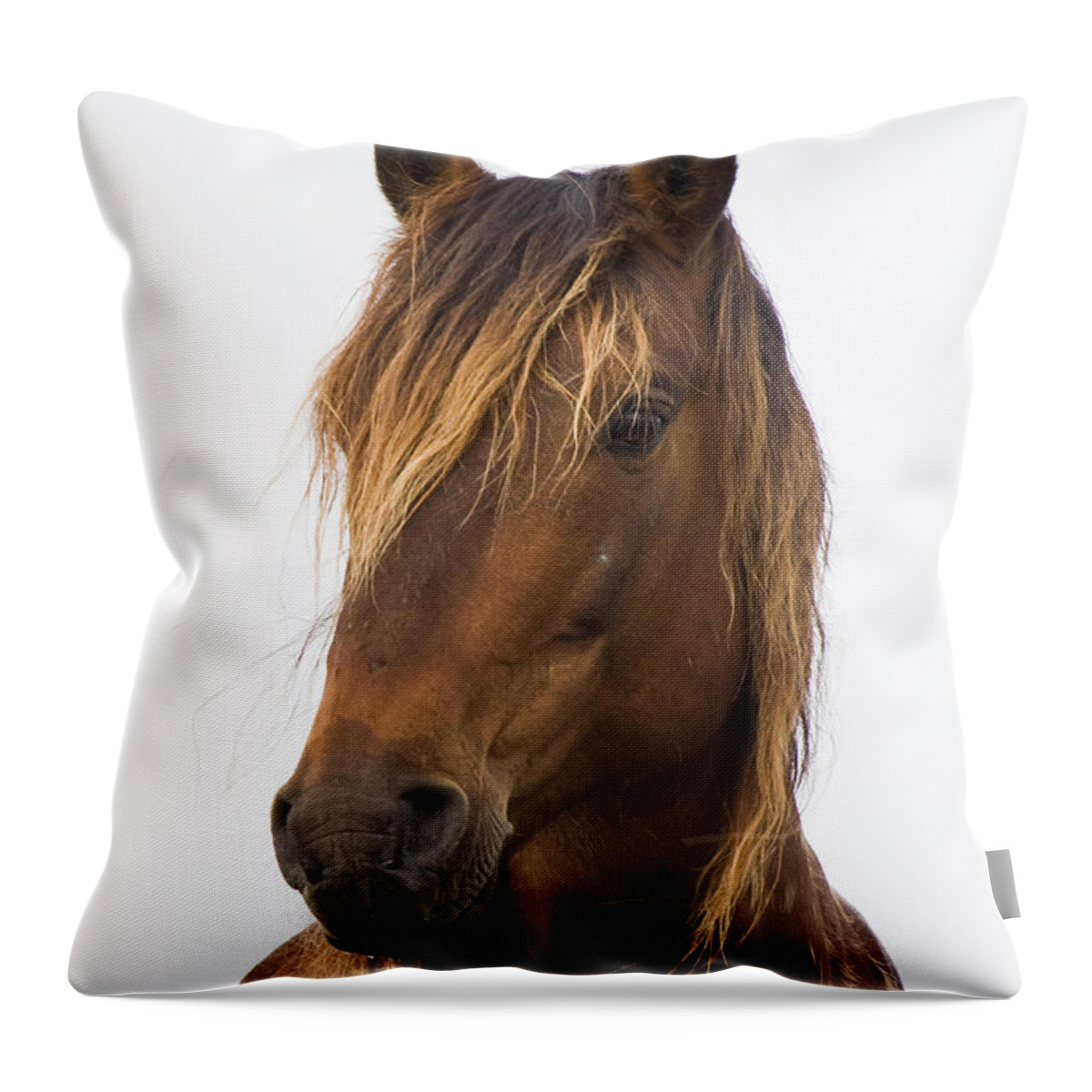 Wild Throw Pillow featuring the photograph Portrait of a Mustang by Bob Decker