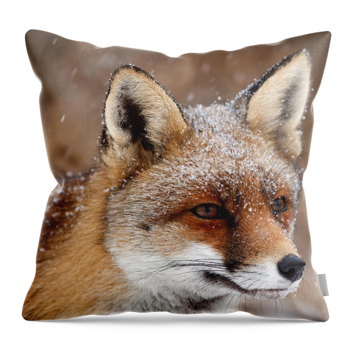 Fox Throw Pillow featuring the photograph Portrait of a Red fox in a snow storm by Roeselien Raimond