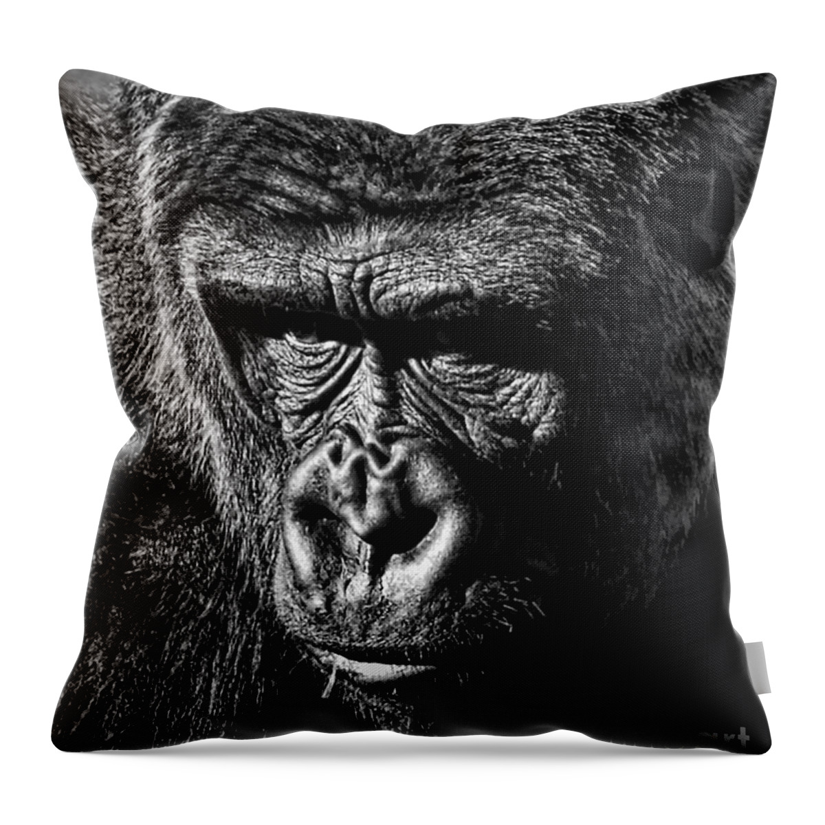 Ape Throw Pillow featuring the photograph Portrait of a Silverback II by Jim Fitzpatrick
