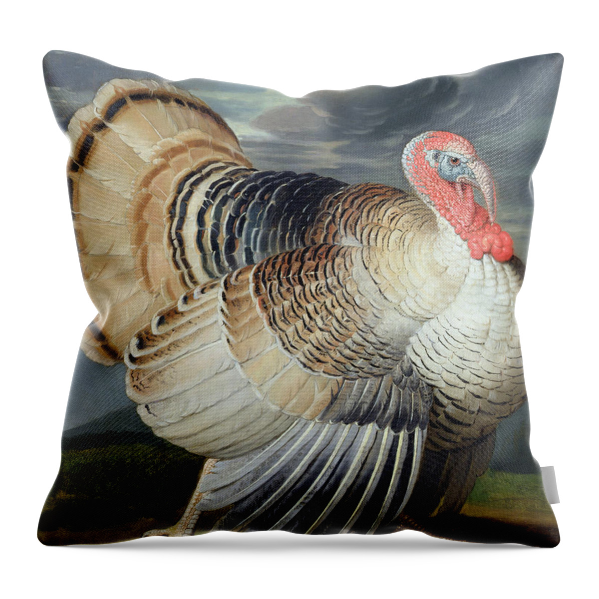 Portrait Throw Pillow featuring the painting Portrait of a Turkey by Johann Wenceslaus Peter Wenzal