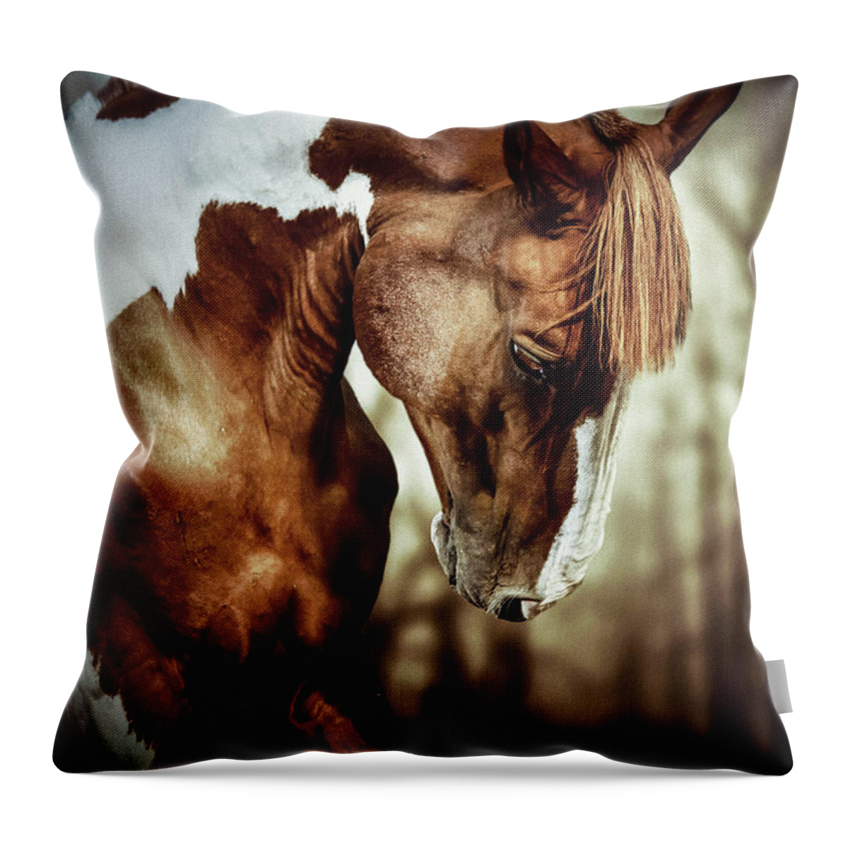 Horse Throw Pillow featuring the photograph Portrait of paint horse stallion by Dimitar Hristov