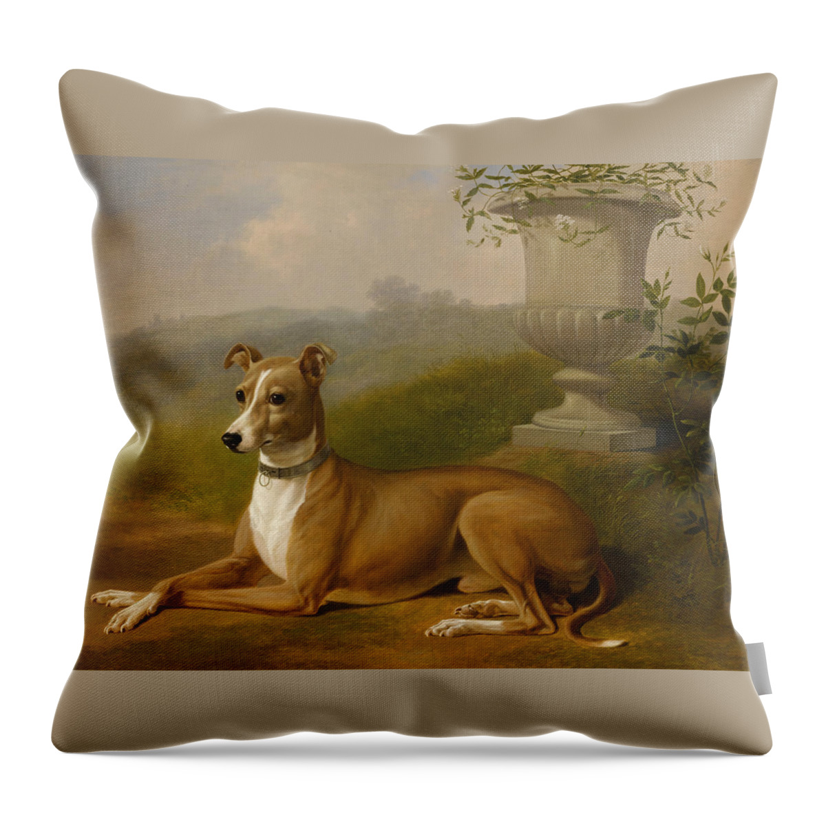 Thomas Hewes Hinckley Throw Pillow featuring the painting Portrait of Rover by Thomas Hewes Hinckley
