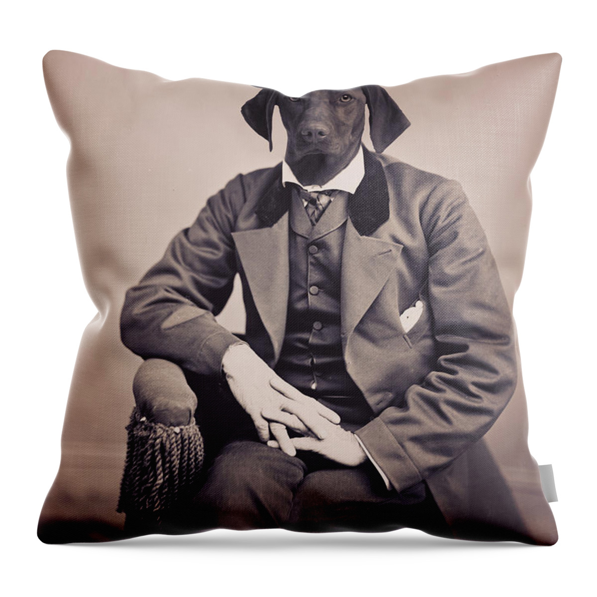 German Pointer Throw Pillow featuring the photograph Posing German Pointer by Aged Pixel