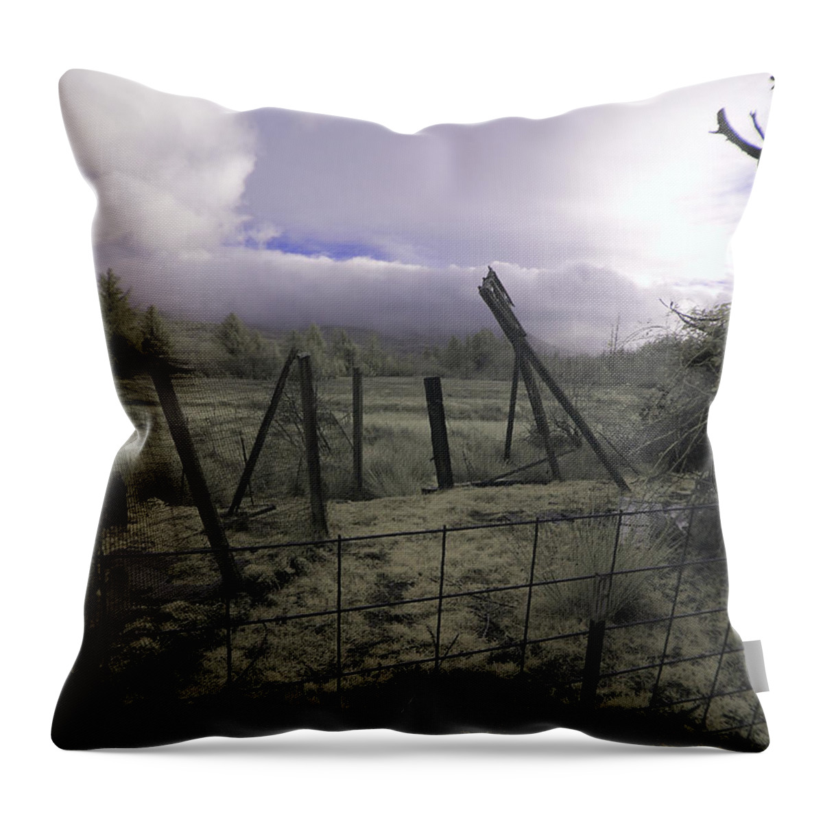 Storm Throw Pillow featuring the photograph Post Storm by Chriss Pagani
