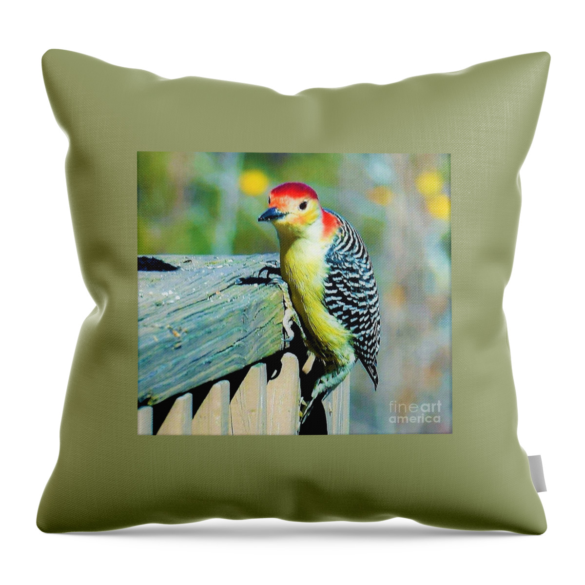 Woodpecker Throw Pillow featuring the photograph Posted by Brianna Kelly