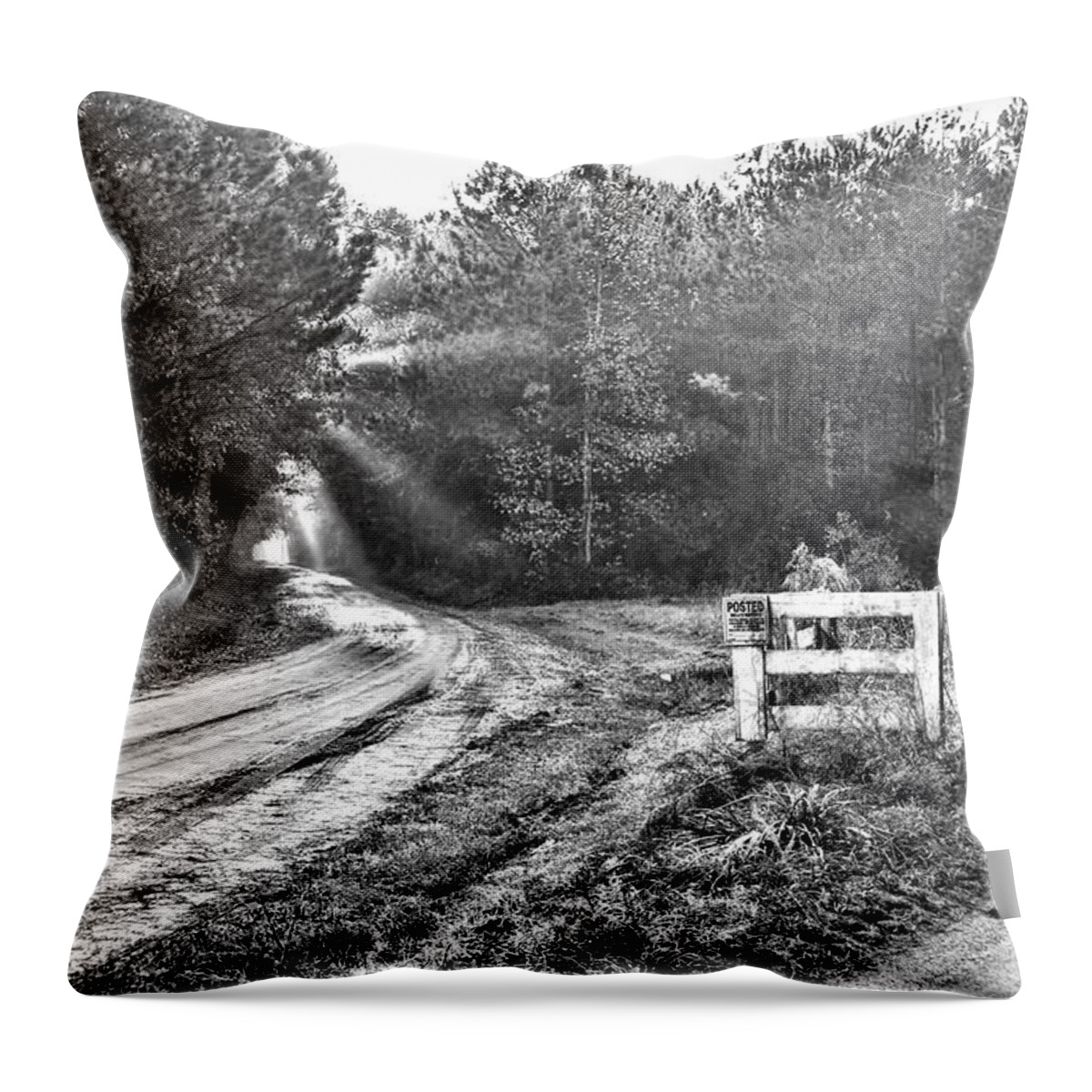 'sun Rays' Throw Pillow featuring the photograph Posted on Witsell Rd by Scott Hansen