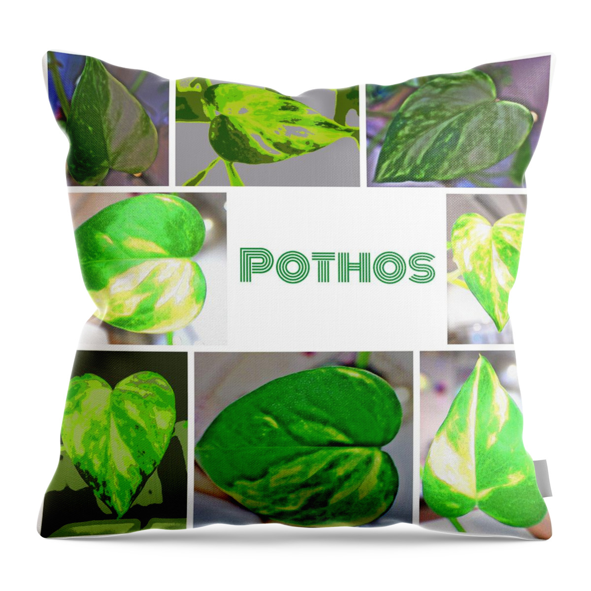 Pothos Throw Pillow featuring the digital art Pothos by Kumiko Izumi