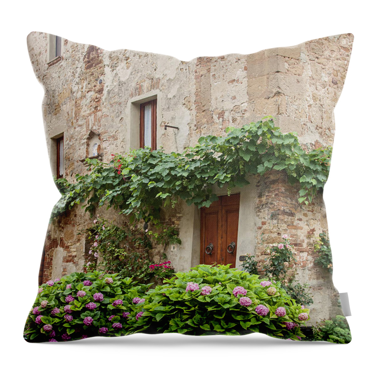 Old Stone House Throw Pillow featuring the photograph Potted Hydrangeas by Sally Weigand