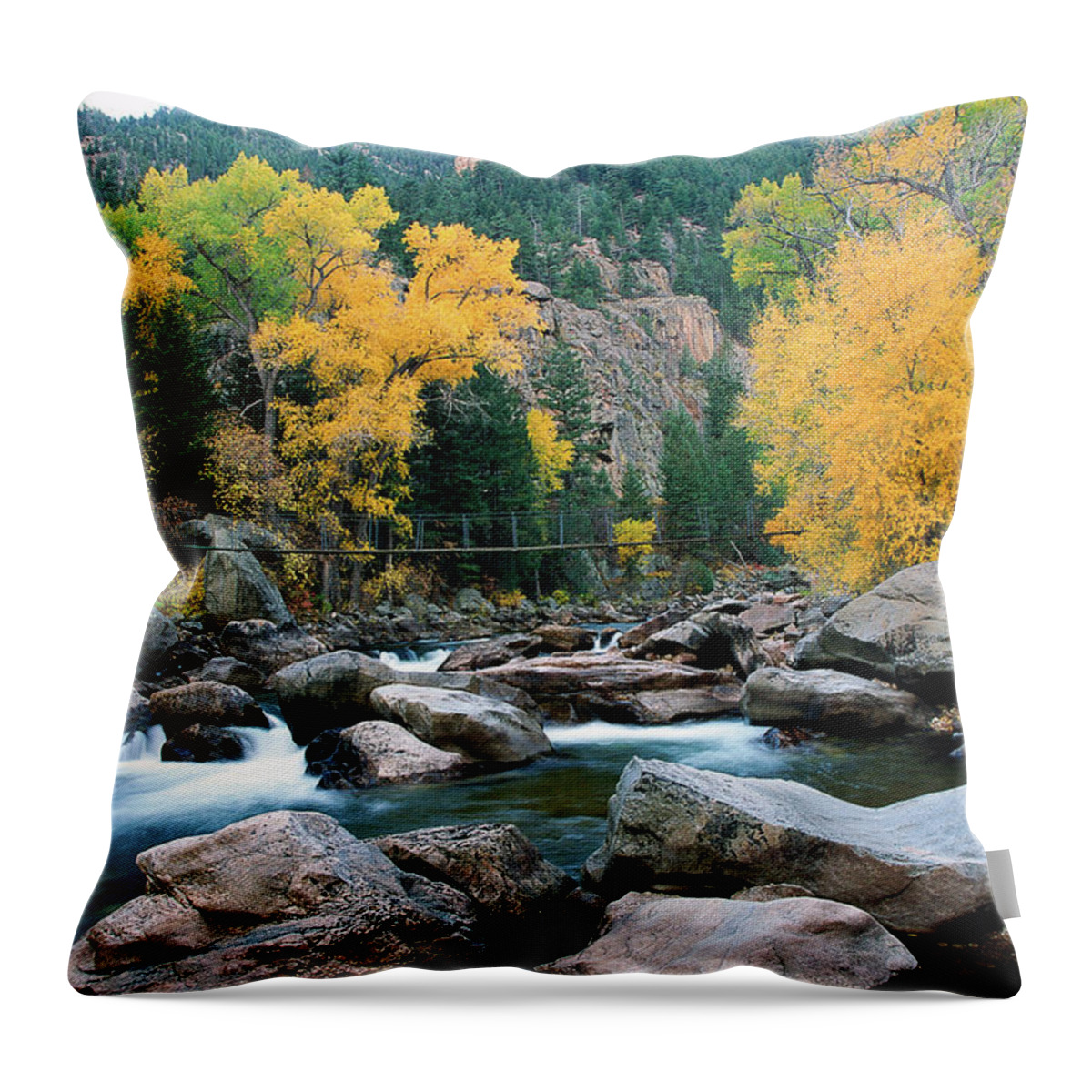 Colorado Throw Pillow featuring the photograph Poudre Gold by Jim Benest